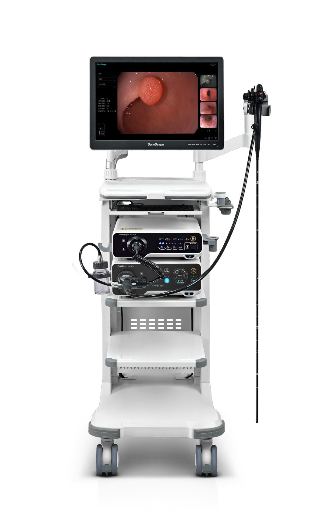 HD 500 Endoscopy System